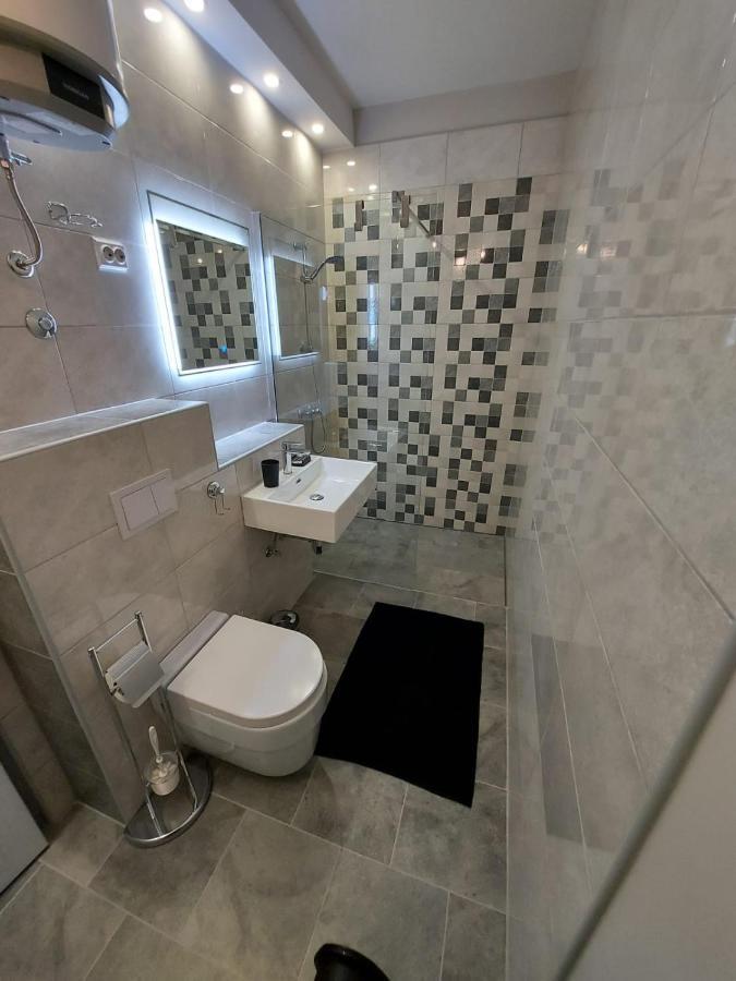 נובי ווינודולסקי Apartma Irena מראה חיצוני תמונה