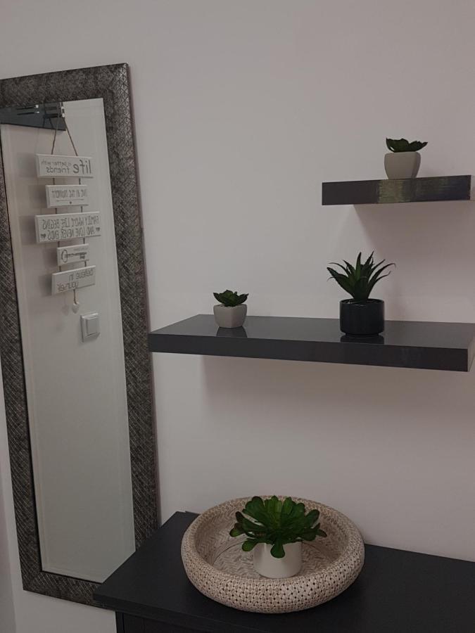 נובי ווינודולסקי Apartma Irena מראה חיצוני תמונה